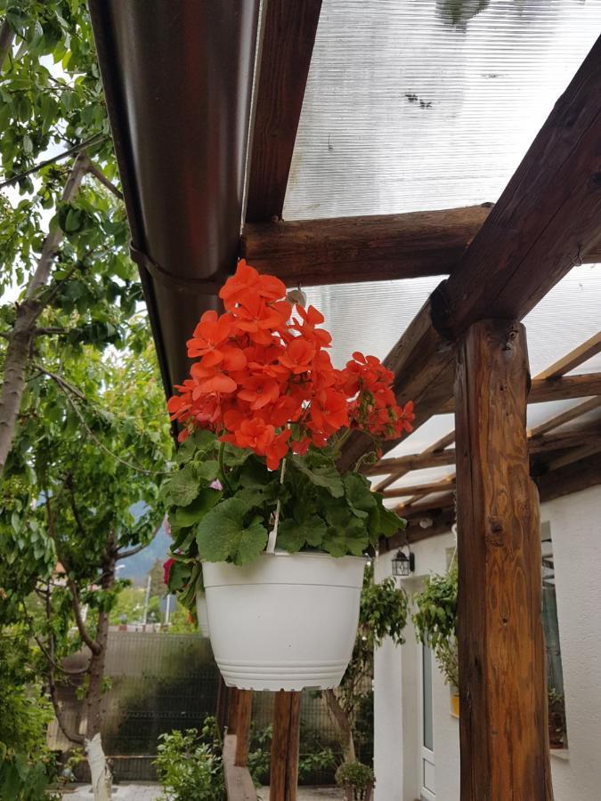 Casa Farcas Busteni Exterior photo